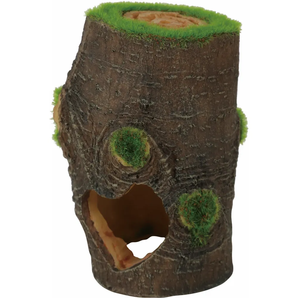 Træstamme med Live plante frø